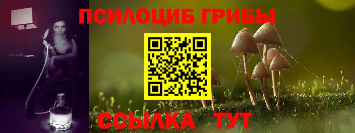 Галлюциногенные грибы мухоморы Вятские Поляны